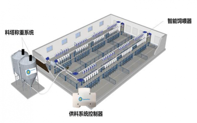 智慧養豬場解決方案：提高豬場養豬效率