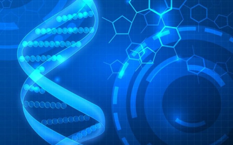 智慧醫療智能監控解決方案